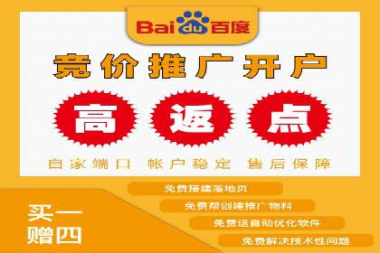 百度广告投放技巧及效果评估案例